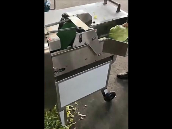 臺(tái)灣大型切菜機(jī)
